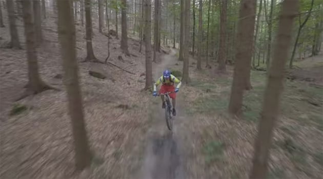 bike in forest