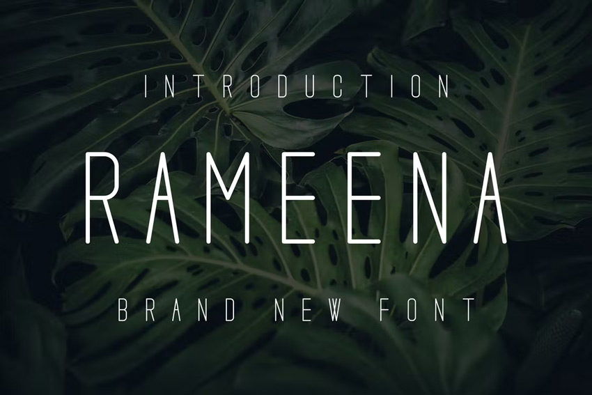 Rameena font from Envato Elements