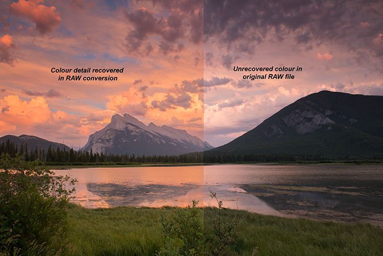 Raw samples. Sony 12-24 g raw landscape raw.