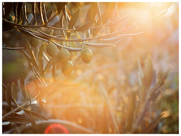 veiling optical flare