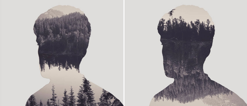 use Add vector mask and rotate the forest image