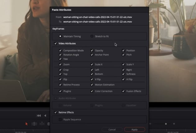 paste attributes dialogue box