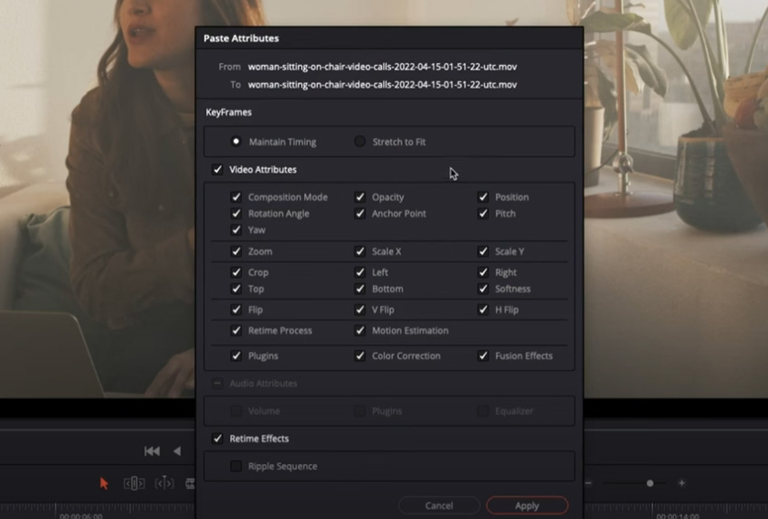 paste attributes dialogue box