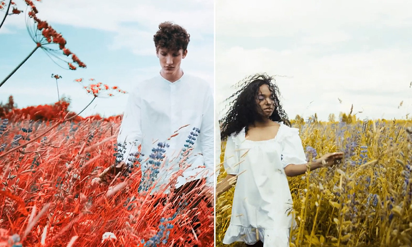 Colorify Wedding LUTs