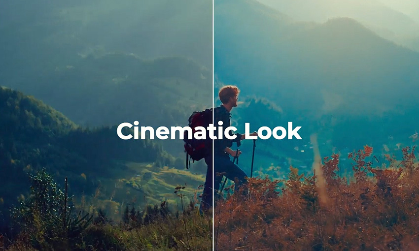 LUT Color Presets | Premiere Pro