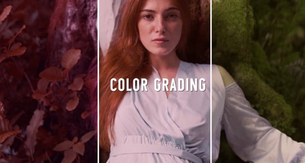 Cinematic Color Presets - Premiere Pro