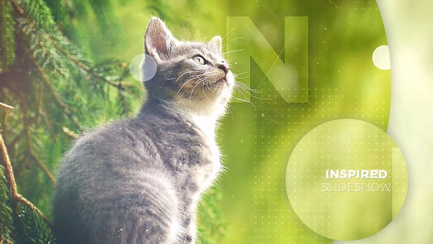Inspired Slideshow