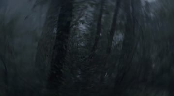 Twist Wheel Transition