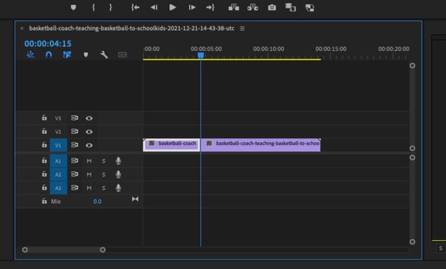 Adobe Premiere shake reduction