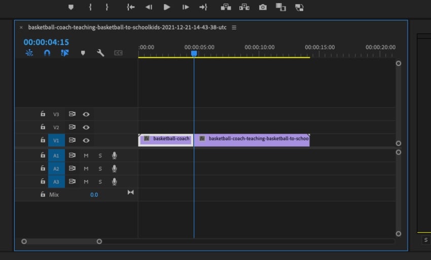 Adobe Premiere shake reduction