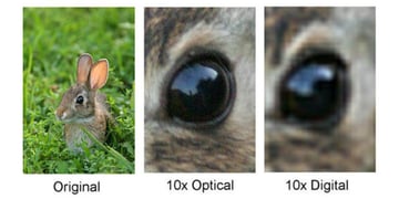Photo by bobatkins.com