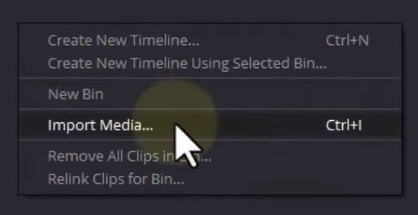 Using clicking Import Media... Option