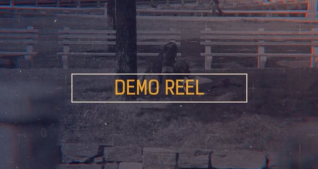 Glitch Reel Openers