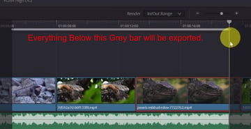 User selecting area to export for how to export a video from davinci resolve