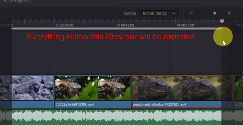 User selecting area to export for how to export a video from davinci resolve