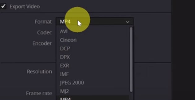 User selecting mp4 for how to export on davinci resolve, 50.