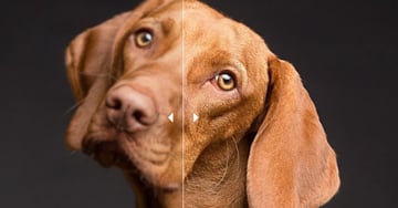 deep image ai