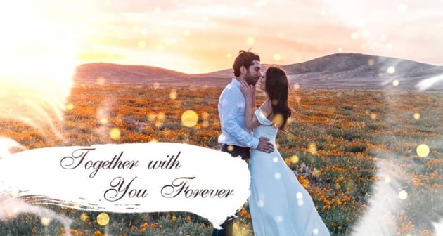Wedding DaVinci Slideshow Template
