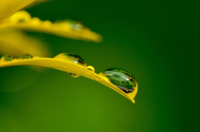 Macro Rajndrop