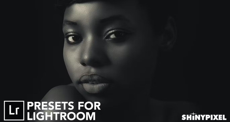 Monochromatic Vol. 2 - 20 Lightroom Presets