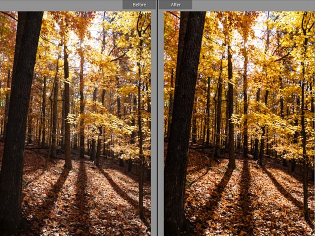 Autumn landscape update