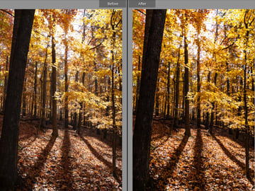 Autumn landscape update