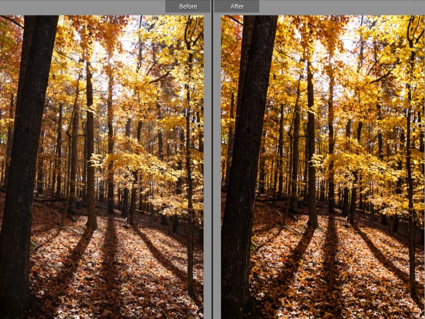 Autumn landscape update