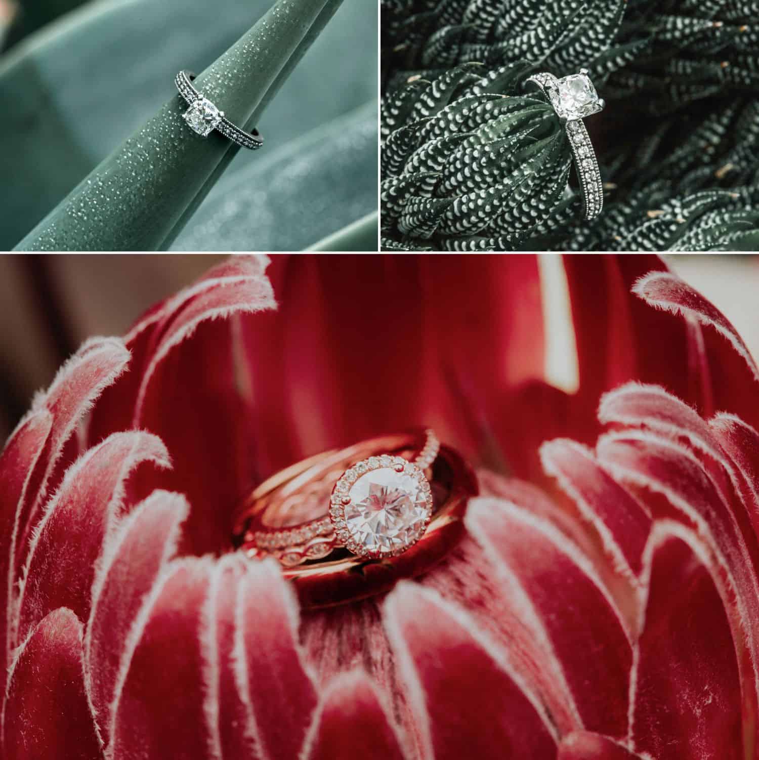Get inspired by 35 stunning wedding ring photographs, then learn the ins and outs of making them with our how-to tips!